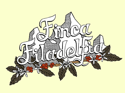 Finca Filadelfia brush coffee design flowers graphic design hand painted illustration ink lettering logo logo design mountain