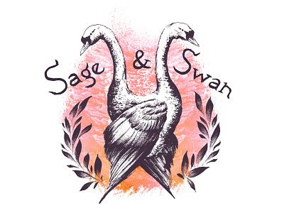 Sage & Swan Logo drawing illustration ink lettering logo texture typography