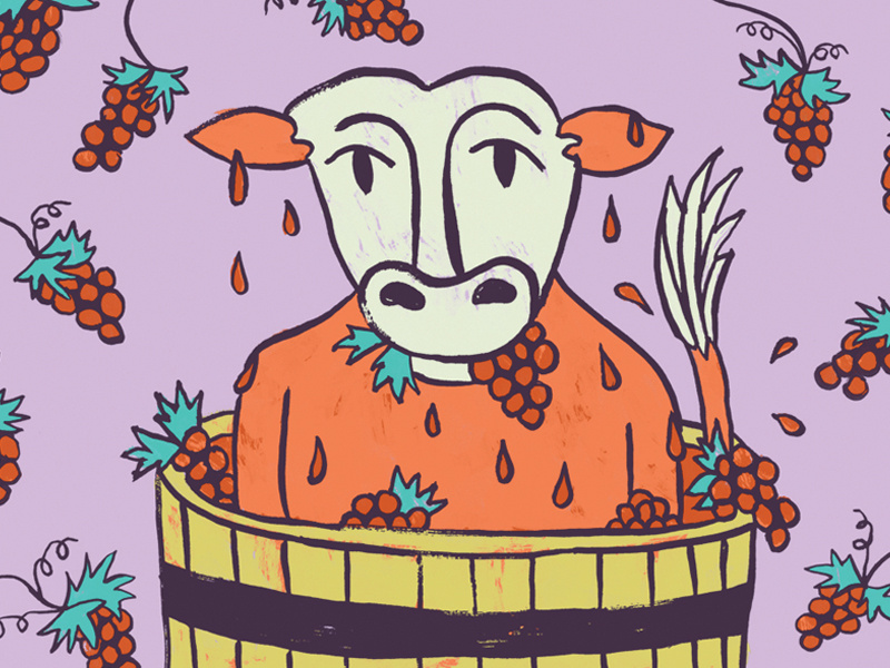 Crazy Cow #3 wine funny texture hand drawn ink cow illustration