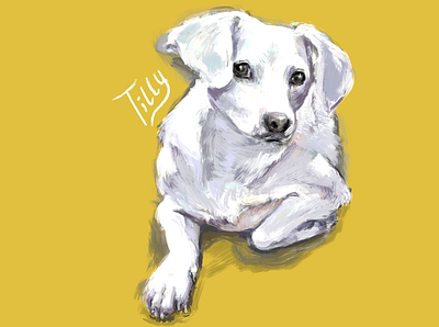 Tilly digital digital art digital painting dog dog illustration illustration procreate