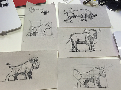 Bull Sketches bull paper pencil sketch