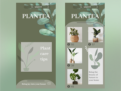 PLANTEA app beginner design plants ui ux