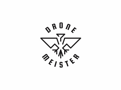 Drone Meister animal drone eagle lineart logo simple