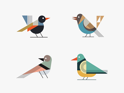 Colorful birds animal bird colorful flat illustration modern simple