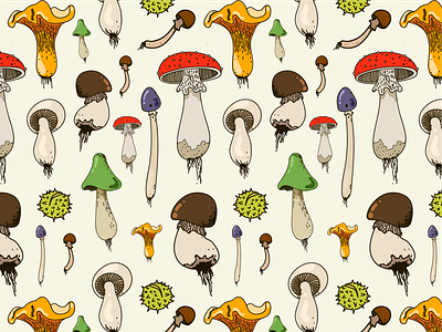 Mushrooms by Amina Kotomanova on Dribbble