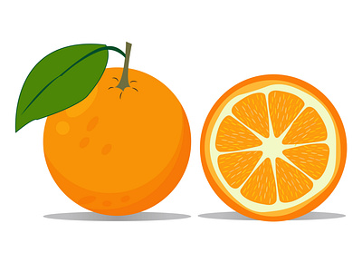 Orange Fruit Illustration app branding design graphic design illustration logo typography ui ux vector
