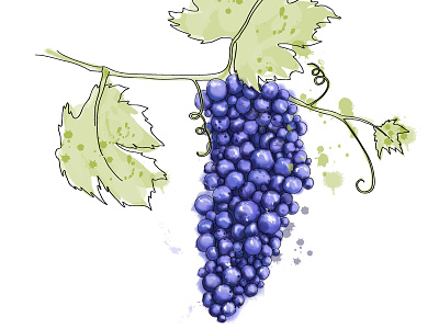 Grapes adobe illustrator advertising design digital editorial grapes illustration maria bogade spot art