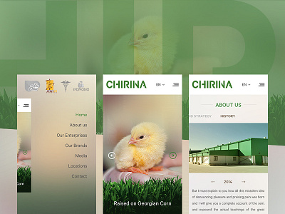 Chirina - Mobile Version bootstrap grids responsive