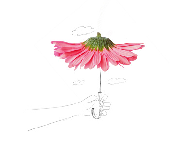 Flower Umbrella drawing flower illustration line art