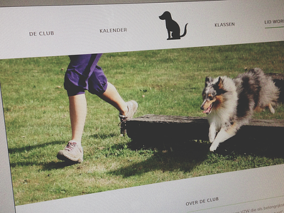 St Bavo Website dog dogschool fullwidth muli slider website