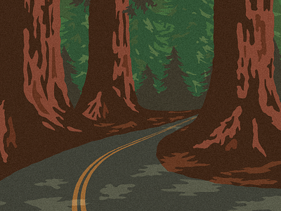 Forest Road illustration national park redwood road trees web design wpa