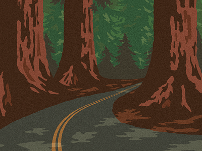 Forest Road illustration national park redwood road trees web design wpa