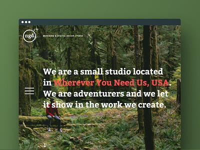 studio ngd color design studio forest homepage photography ux design web design