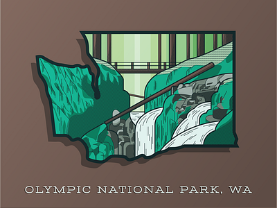 Olympic National Park adventure explore forest green illustration national park rain forest trees wander washington woods