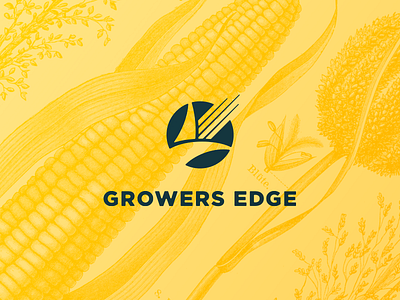 Growers Edge brand design branding corn crops farmers farming gold growth lockup logo tech typography