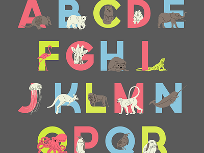 Animal Alphabet Poster alphabet animals illustration poster typography