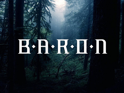 Baron typography by Gitson Media - Creative Agency on Dribbble