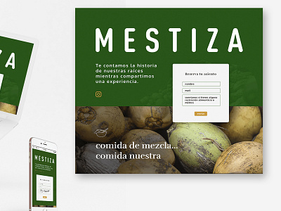 mestiza landing food foodie landing landing design landingpage web webdesign