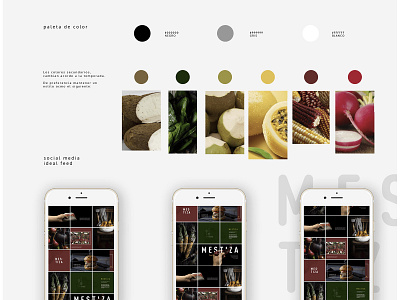 mestiza branding brand branding branding concept branding design color color palette feed food foodie instagram instagram post socialmedia