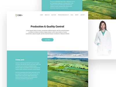 CDP Inc. Website re-design (WIP) cdp inc farm minimal roboto web design wip