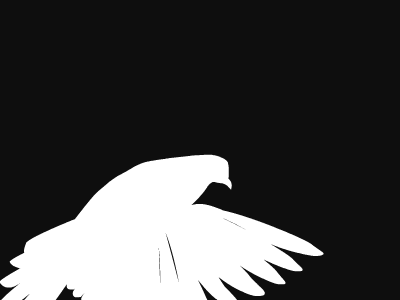 Birds animatedgif animation