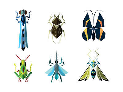 Geometric Insects