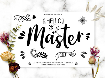 Hello Master Font DUO 3d animation branding graphic design logo motion graphics ui