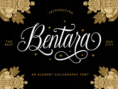 Bentara Script 3d animation branding graphic design logo motion graphics ui