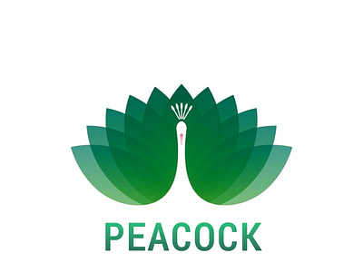 PEACOCK Logo branding design graphic design illustration logo peacock