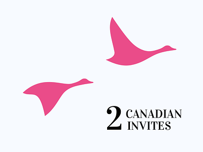 2 dribbble invites 2 invites canada canadian goose dribbble invite geese goose invitation invite