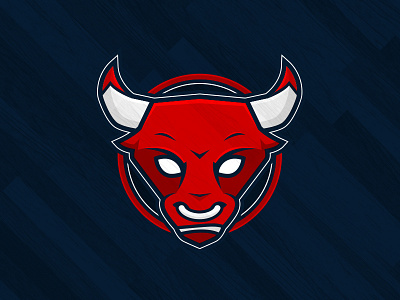 Chicago Bulls Logo