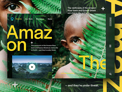 Conservation.org Experiment amazon conservation digital hero rainforest ui web web design webdesign