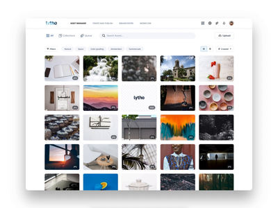 Asset Manager - Lytho animation assets clean comments dark darkmode design editor jpg light lightmode lytho minimal overview pdf single ui ui design ux
