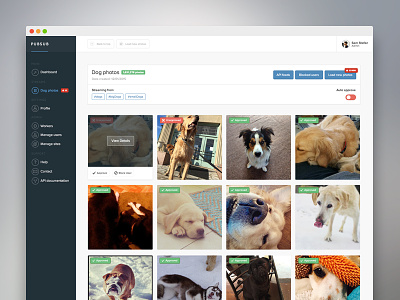 Pubsub Preview app cms dogs feeds instagram photos realtime ui users ux website