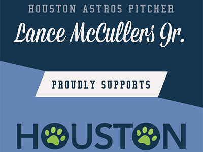 Lance McCullers Jr. for HPA animal shelter banner baseball
