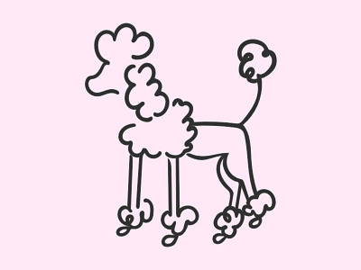 Poodle