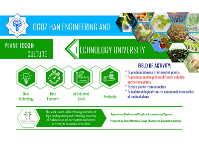 Plant tissue culture banner banner design beedesign plant tissue culture