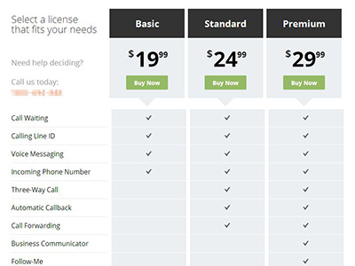 Choose Your Plan clean flat ui pricing table whitespace