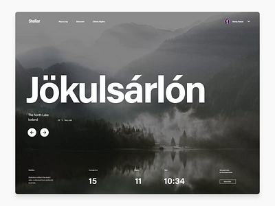 Stellar Web UI Kit after effects animation design motion motion design motiongraphics ui ui8 ux