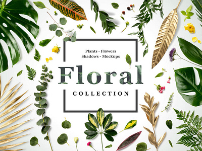 Download New Floral Mockups Collection By Mockup Cloud On Dribbble