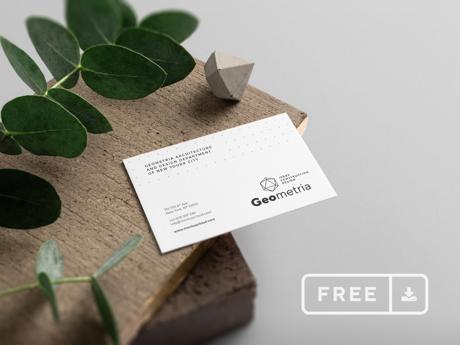 Free Business Card Mockup by Mockup Cloud on Dribbble