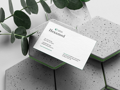 Download Hexamed Branding Mockup Kit By Mockup Cloud On Dribbble