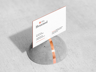 Download Hexamed Branding Mockup Kit By Mockup Cloud On Dribbble