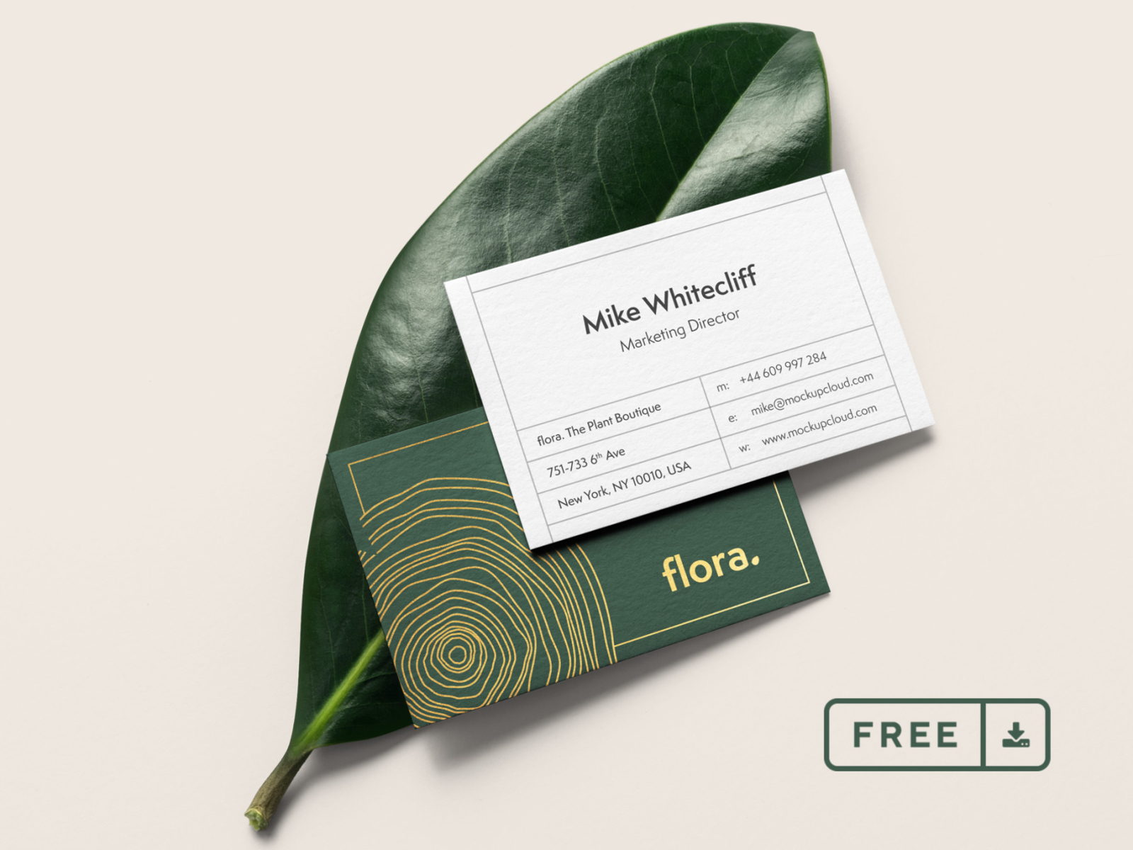 download vistaprint business card psd template