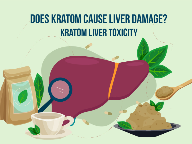 Does kratom cause liver damage? Kratom Liver toxicity by Kratomlords on