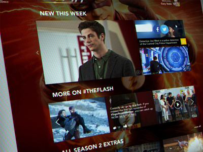 the Flash FanPage design design web design website