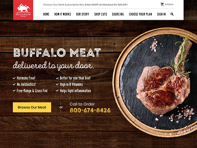 Buffalo Website design design graphic homepage design landing design landing page meat ui web web design website