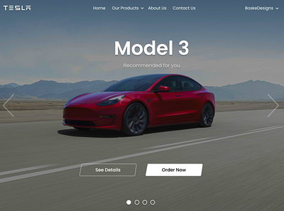 Tesla Landing Page Concept branding graphic design ui