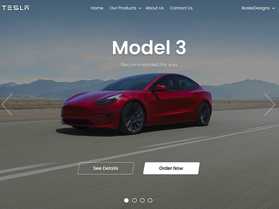 Tesla Landing Page Concept