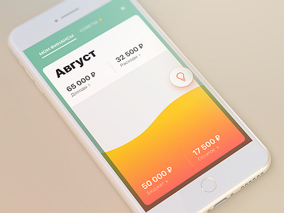 Concept / Sberbank Online banking budget iphone ui